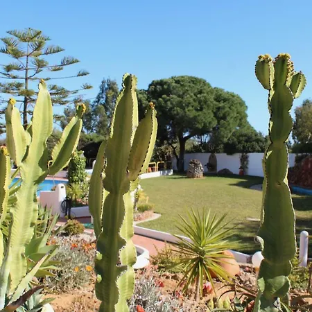 Casa Areias Boutique Apartment