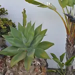 Casa Areias Boutique